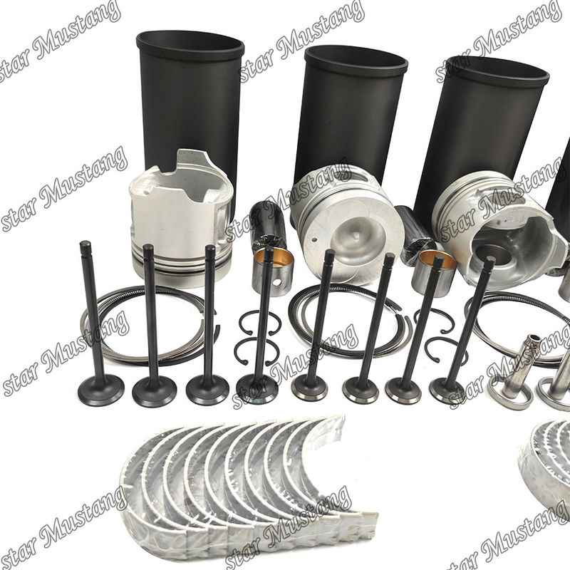 W04DT Sửa chữa xây dựng lại bộ máy xi lanh Liner Piston với Pin Kit Valve Seat Valve Guide Gasket Kit cho động cơ Hino