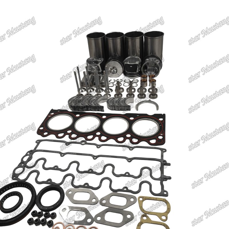 BF4M1011F Bộ sửa chữa tổng quát Cylinder Liner Piston Kit Gasket Kit Valve Seat Guide Main And Con Rod Bearings cho Deutz