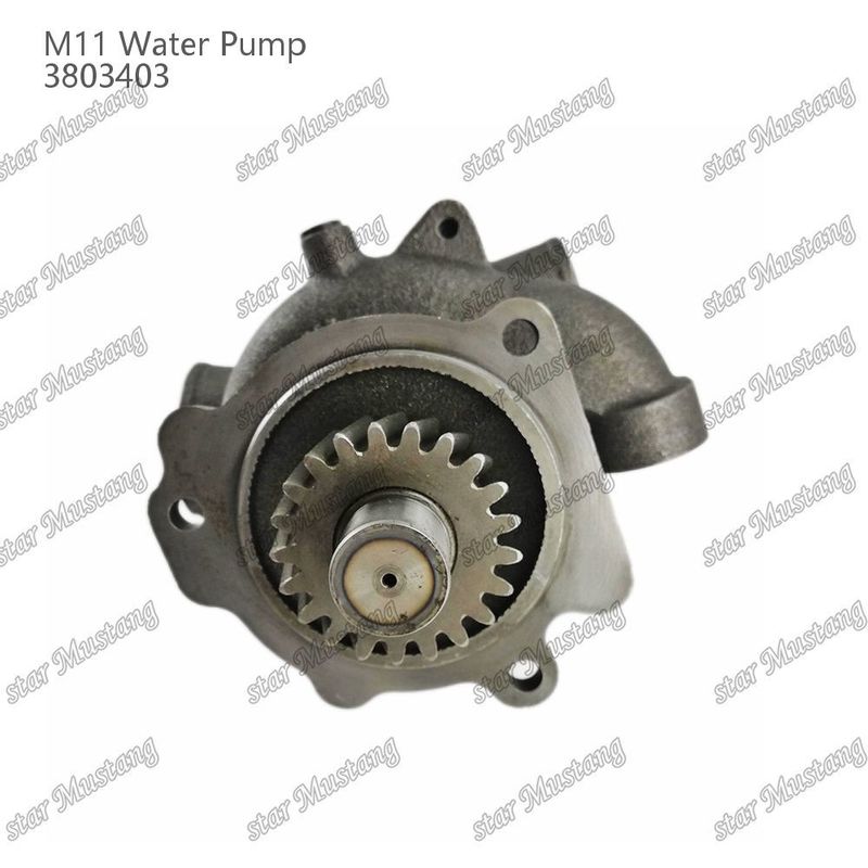 Máy bơm nước M11 4955706 4926553 Cánh ngắn cho CUMMINS Phân tích sửa chữa động cơ diesel