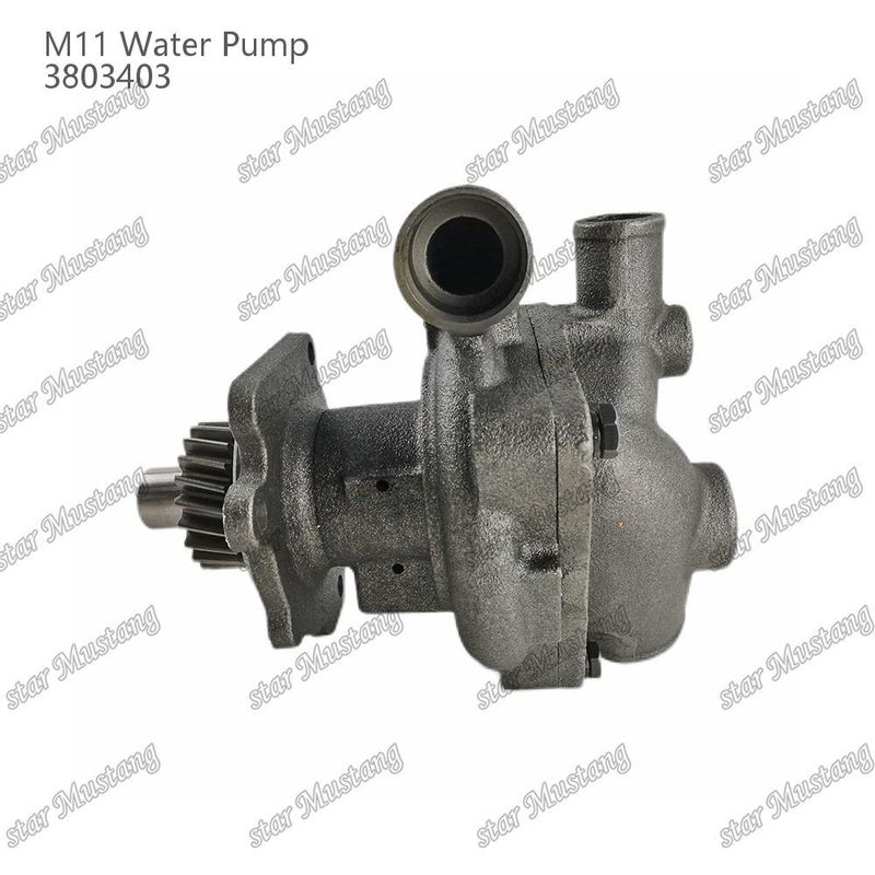Máy bơm nước M11 4955706 4926553 Cánh ngắn cho CUMMINS Phân tích sửa chữa động cơ diesel