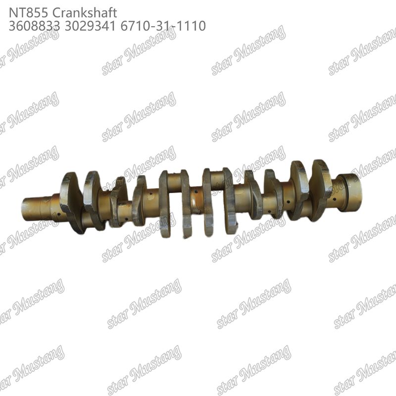 Crankshaft NT855 Thép rèn 3608833 3029341 6710-31-1110 Cho bộ phận động cơ diesel Cummins