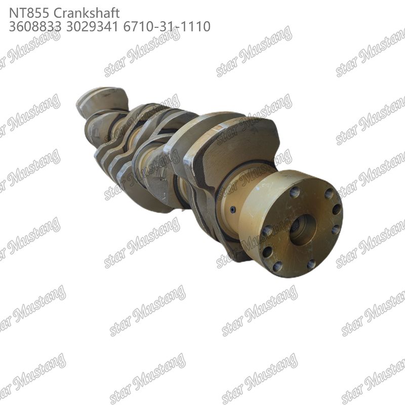 Crankshaft NT855 Thép rèn 3608833 3029341 6710-31-1110 Cho bộ phận động cơ diesel Cummins