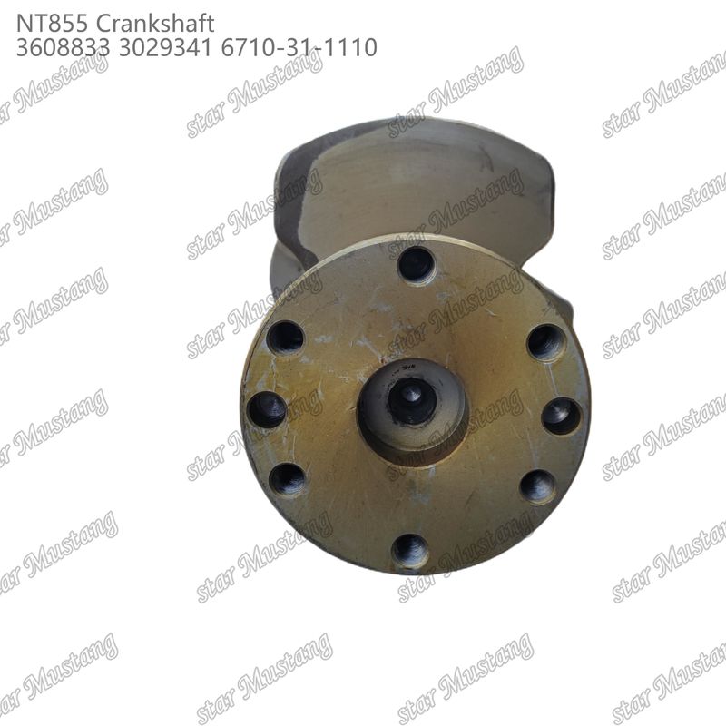 Crankshaft NT855 Thép rèn 3608833 3029341 6710-31-1110 Cho bộ phận động cơ diesel Cummins
