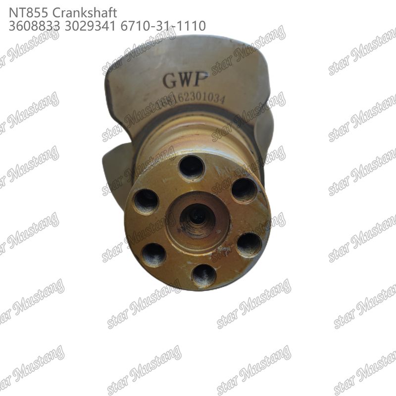 Crankshaft NT855 Thép rèn 3608833 3029341 6710-31-1110 Cho bộ phận động cơ diesel Cummins