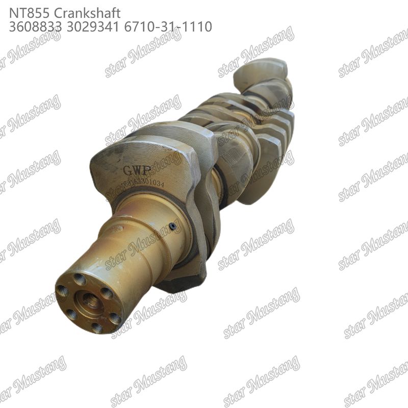 Crankshaft NT855 Thép rèn 3608833 3029341 6710-31-1110 Cho bộ phận động cơ diesel Cummins