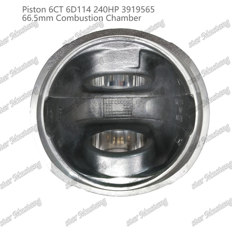 Piston 6CT 6D114 240HP 3919565 Phòng đốt 66,5mm Đối với bộ phận sửa chữa động cơ diesel Cummins