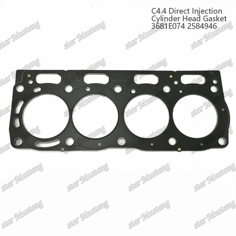Băng xăng xi lanh C4.4 Tiêm trực tiếp 3681E074 2584946 Đối với phụ tùng động cơ Caterpillar