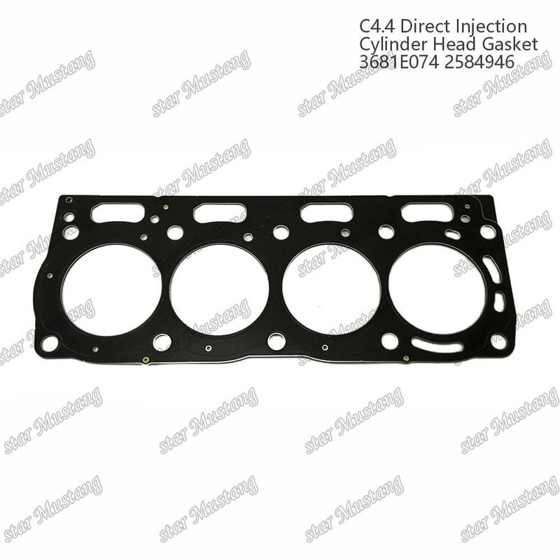 Băng xăng xi lanh C4.4 Tiêm trực tiếp 3681E074 2584946 Đối với phụ tùng động cơ Caterpillar