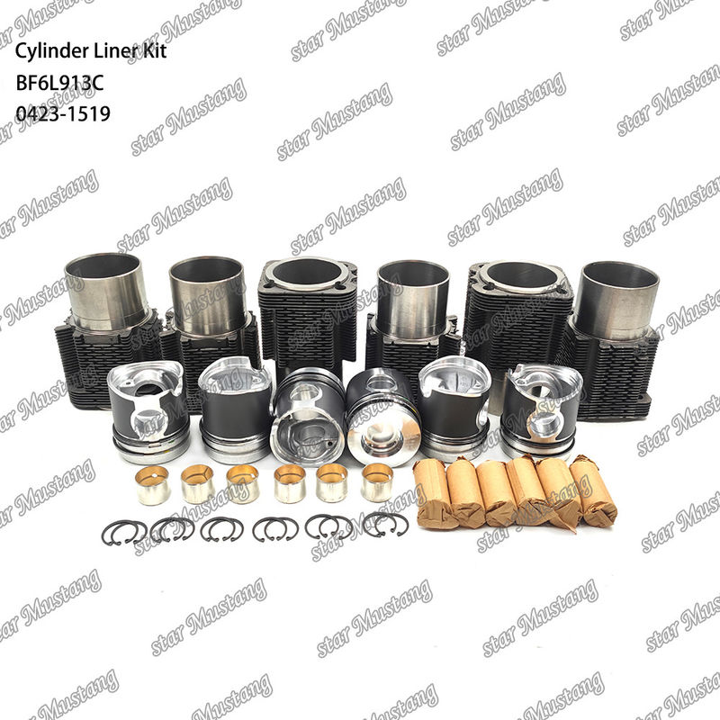 Chế độ mới động cơ diesel loại Liner Kit cho BF6L913C 0423-1519