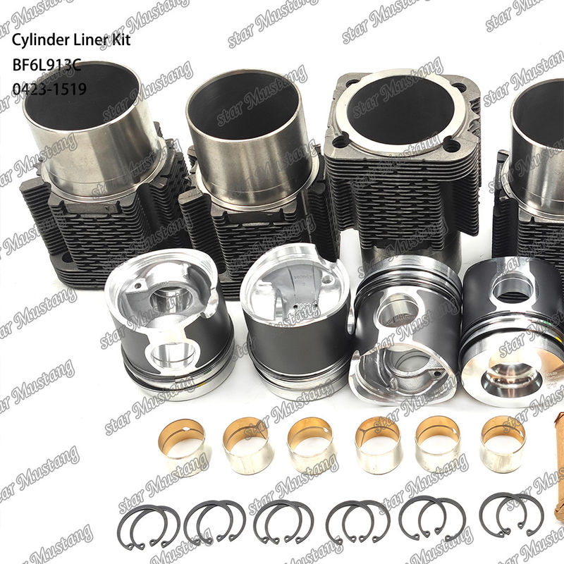 Chế độ mới động cơ diesel loại Liner Kit cho BF6L913C 0423-1519