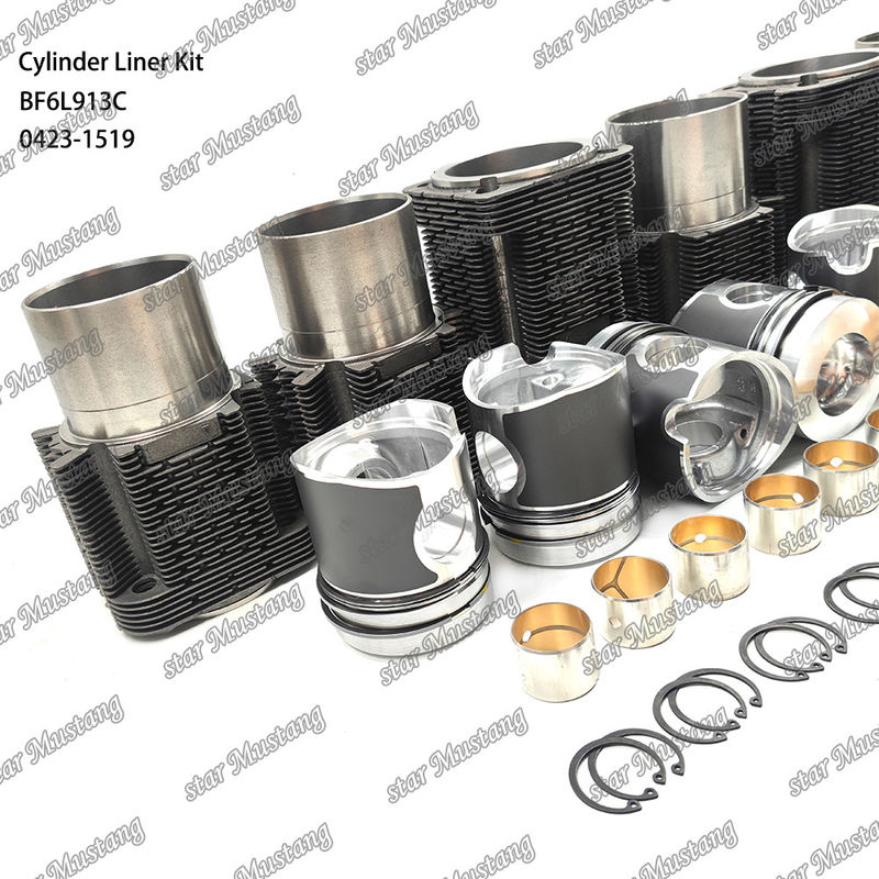 Chế độ mới động cơ diesel loại Liner Kit cho BF6L913C 0423-1519
