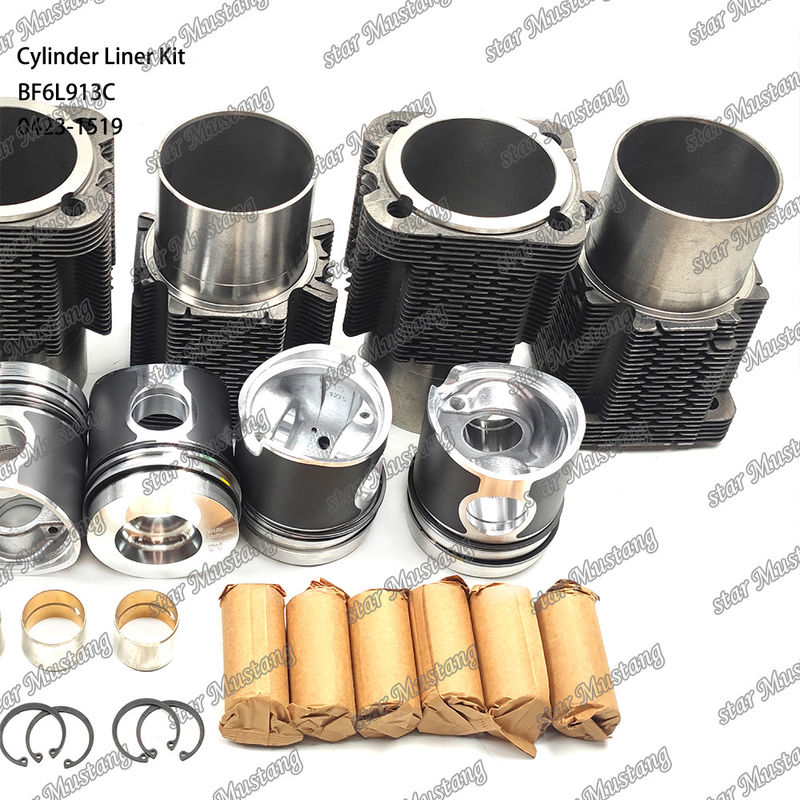 Chế độ mới động cơ diesel loại Liner Kit cho BF6L913C 0423-1519