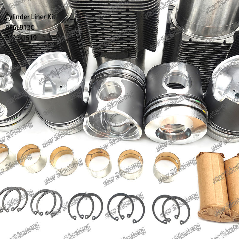 Chế độ mới động cơ diesel loại Liner Kit cho BF6L913C 0423-1519