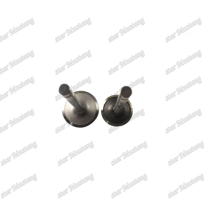 Tình trạng cổ phiếu van 3204 Inlet And 9L7682 Exhaust 9L7683 cho bộ phận thay thế động cơ Caterpillar