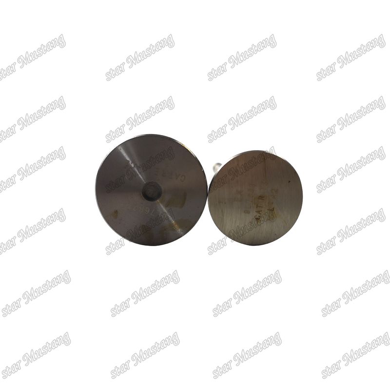 Tình trạng cổ phiếu van 3204 Inlet And 9L7682 Exhaust 9L7683 cho bộ phận thay thế động cơ Caterpillar