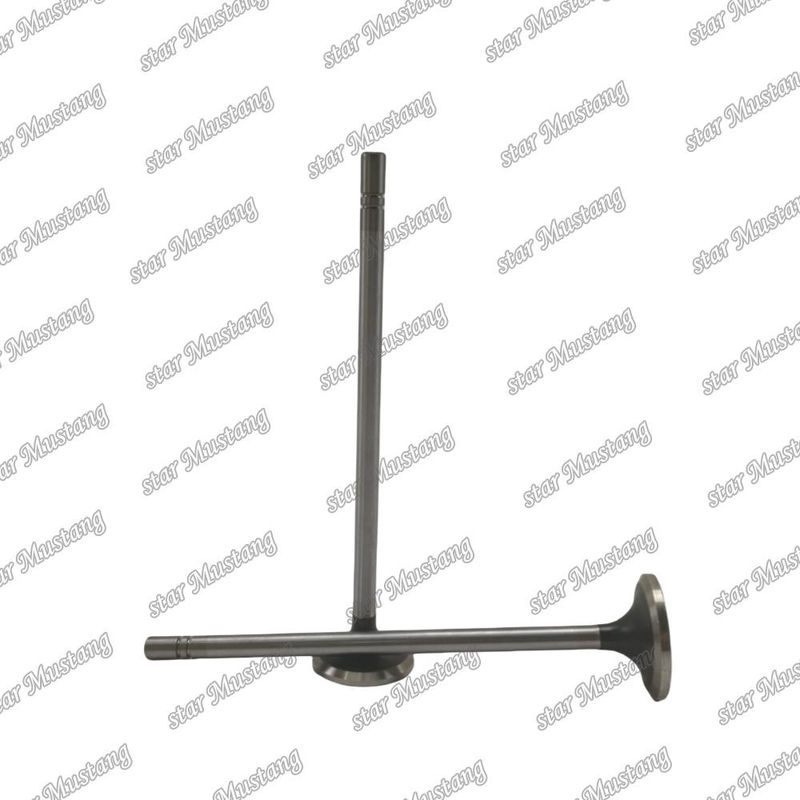 van C15 trong 153-7023 ex 153-7024 thích hợp cho Caterpillar bộ phận thay thế động cơ