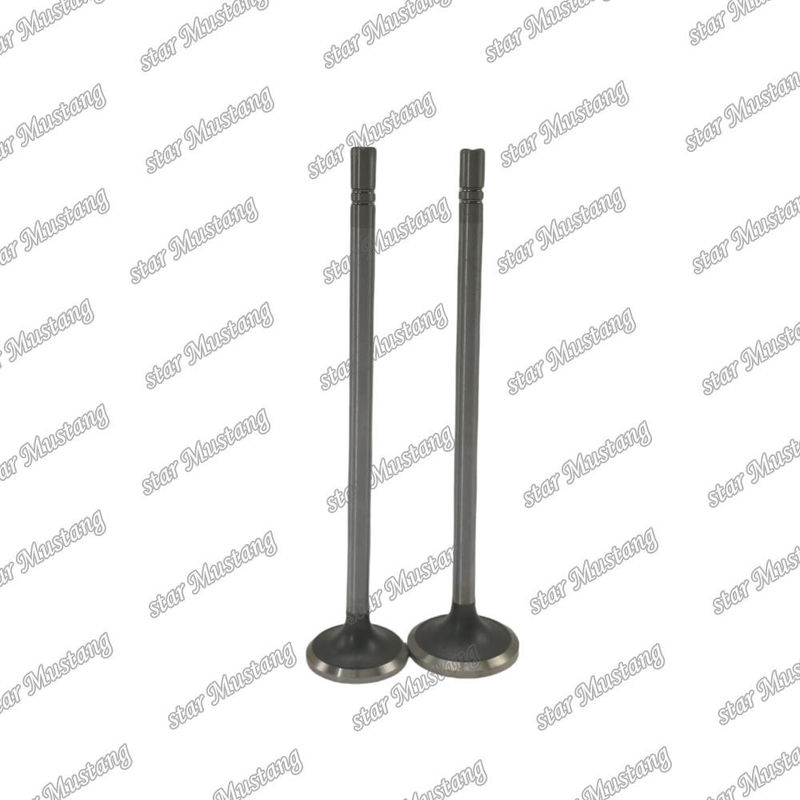 van C15 trong 153-7023 ex 153-7024 thích hợp cho Caterpillar bộ phận thay thế động cơ