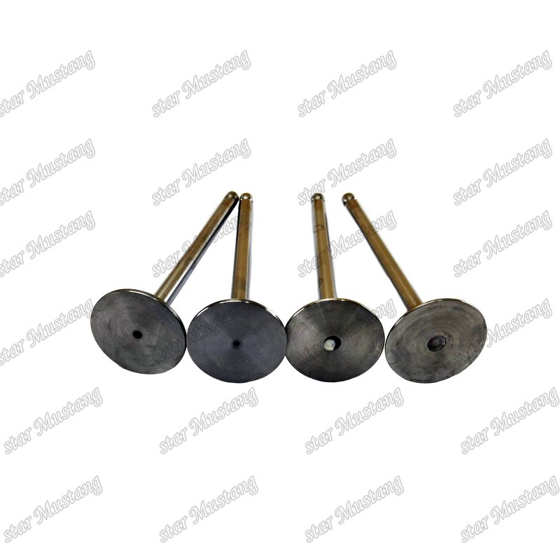 Bộ phận thay thế động cơ Komatsu gốc van 6D107 IN 3802924 6754-41-4100 EX 3802967 6754-41-4200 Thích hợp cho thị trường