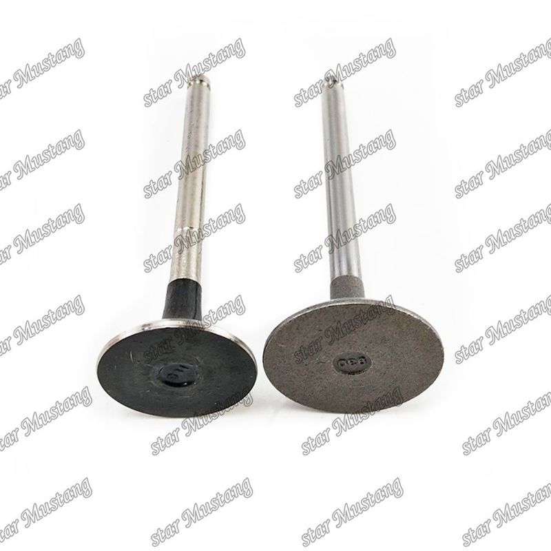 Van 3KC2 IN 5-12551-024-0 EX 9-12552-240-0 Đối với phụ tùng động cơ Isuzu