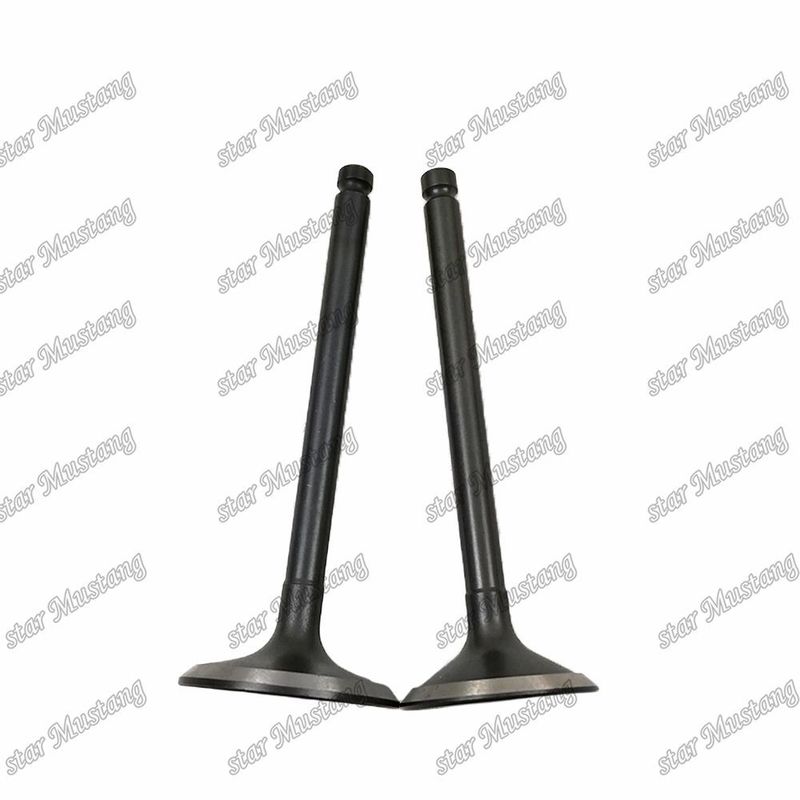 Van 3KR1 8941190881 8-94119088-1 5125520462 5-12552046-2 Đối với phụ tùng động cơ Isuzu