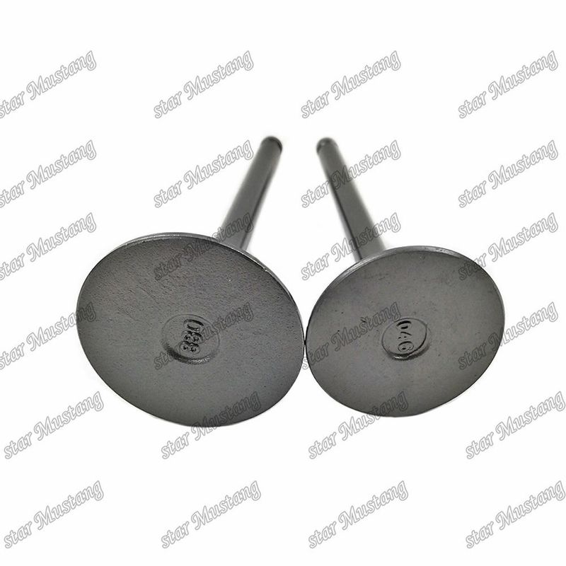 Van 3KR1 8941190881 8-94119088-1 5125520462 5-12552046-2 Đối với phụ tùng động cơ Isuzu