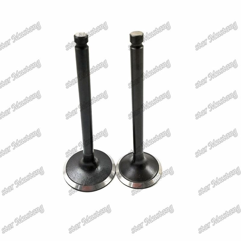 Van 3KR1 8941190881 8-94119088-1 5125520462 5-12552046-2 Đối với phụ tùng động cơ Isuzu