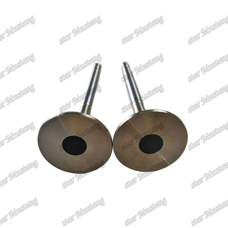 Van 4HL1 IN 8-94395-113-1 EX 8-94395-462-0 Thích hợp cho phụ tùng động cơ Isuzu