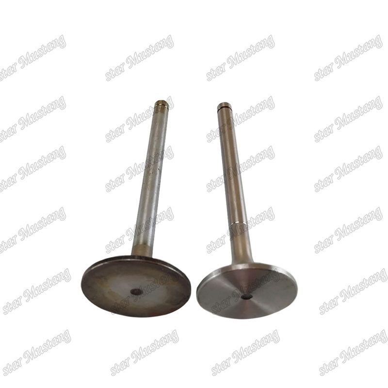 Van EK100 EK130 EF750 13715-1060 13711-1450 Thích hợp cho các bộ phận phụ tùng động cơ Hino