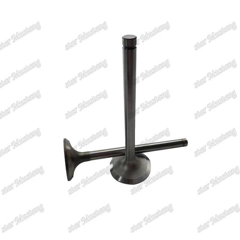 Van EK100 EK130 EF750 13715-1060 13711-1450 Thích hợp cho các bộ phận phụ tùng động cơ Hino