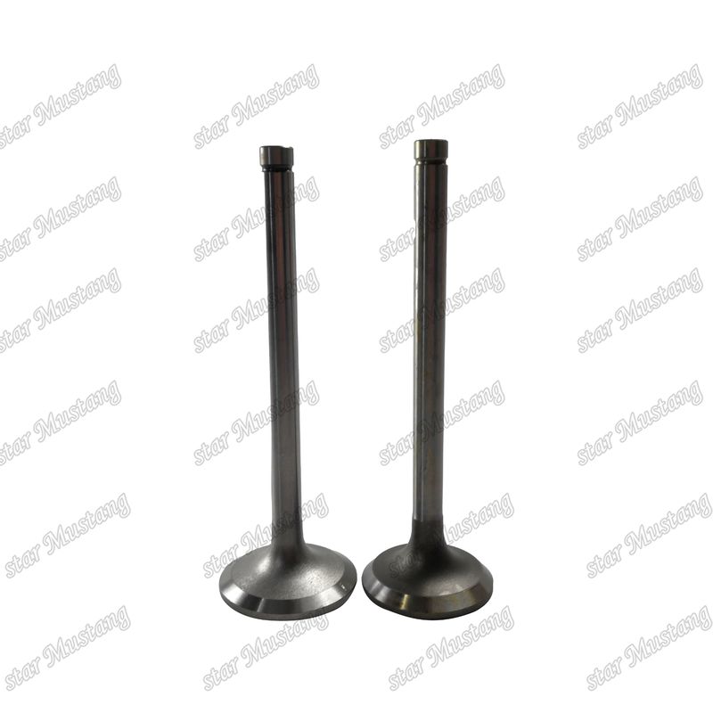 Van EK100 EK130 EF750 13715-1060 13711-1450 Thích hợp cho các bộ phận phụ tùng động cơ Hino