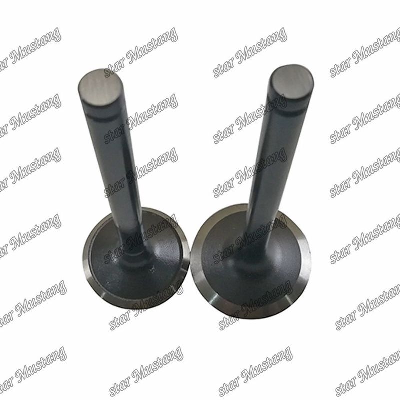 Van W06D W06E 13711-1521 13715-1570 Thích hợp cho các bộ phận phụ tùng động cơ Hino
