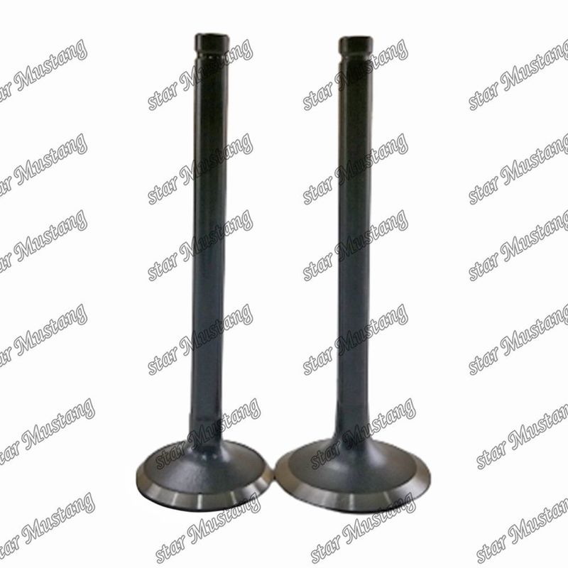 Van W06D W06E 13711-1521 13715-1570 Thích hợp cho các bộ phận phụ tùng động cơ Hino