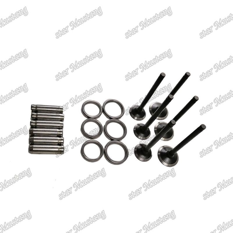 Bộ phận động cơ với 6 tháng