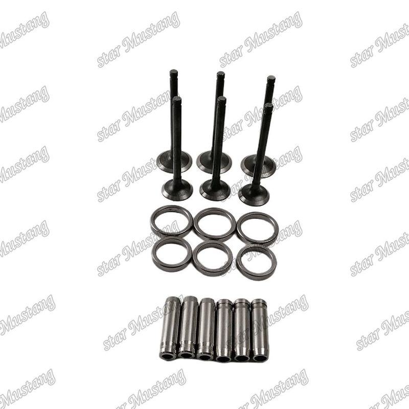 Bộ phận động cơ với 6 tháng
