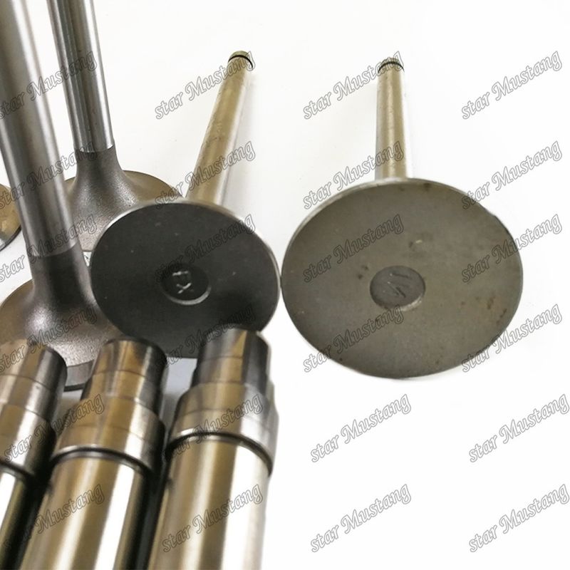 6DB10 ME051063 ME051073 ME051354 ME051300 ME051123 Đút động cơ với cấu trúc tích hợp và 6 tháng sau khi hỗ trợ