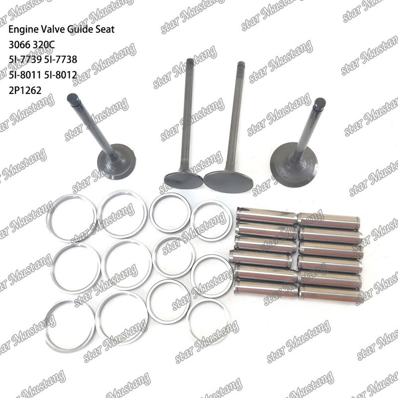 Hướng dẫn van 3066 320C 5I-7739 5I-7738 5I-8011 5I-8012 2P1262 Phần động cơ với cấu trúc tích hợp và tình trạng dự trữ 6 tháng