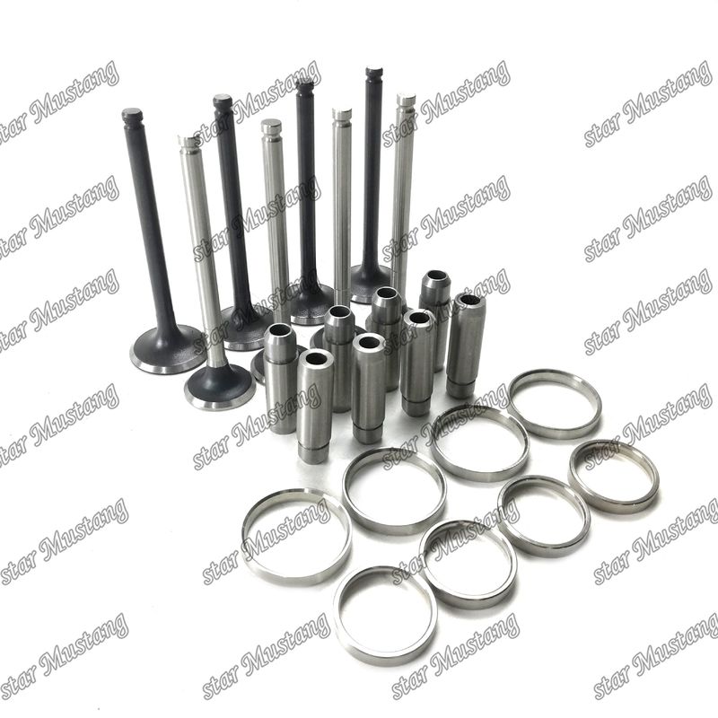 Hướng dẫn van ghế van C221 9125518020 9125528010 9-11721-113-0 Phần động cơ với cấu trúc tích hợp và 6 tháng