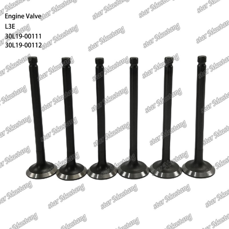 L3E 30L19-00111 30L19-00112 Van động cơ diesel phù hợp với phụ tùng Mitsubishi
