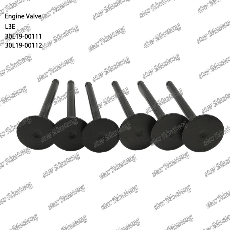 L3E 30L19-00111 30L19-00112 Van động cơ diesel phù hợp với phụ tùng Mitsubishi
