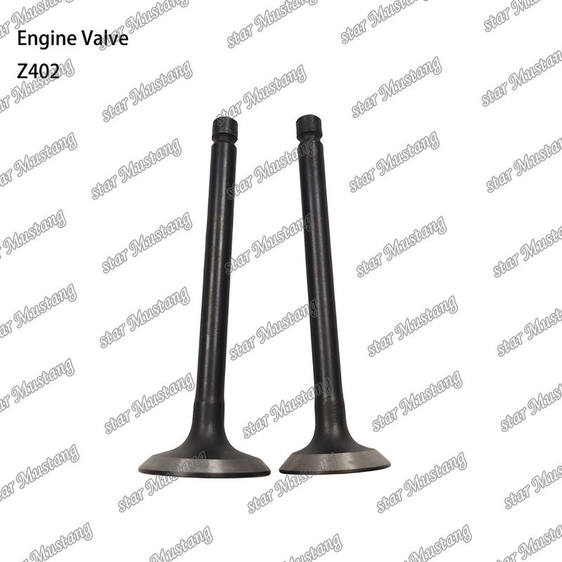 Động cơ diesel phần Z402 cấu trúc tích hợp tình trạng cổ phiếu van với hỗ trợ trực tuyến sau khi