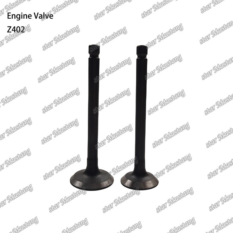 Động cơ diesel phần Z402 cấu trúc tích hợp tình trạng cổ phiếu van với hỗ trợ trực tuyến sau khi
