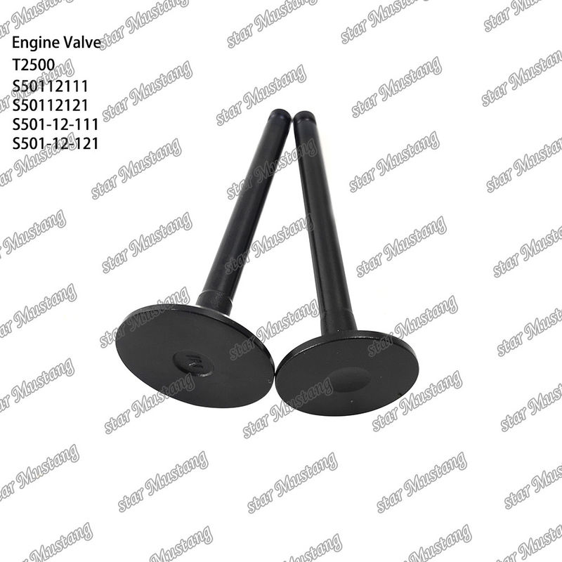 Ventil cấu trúc tích hợp T2500 S50112111 S50112121 S501-12-111