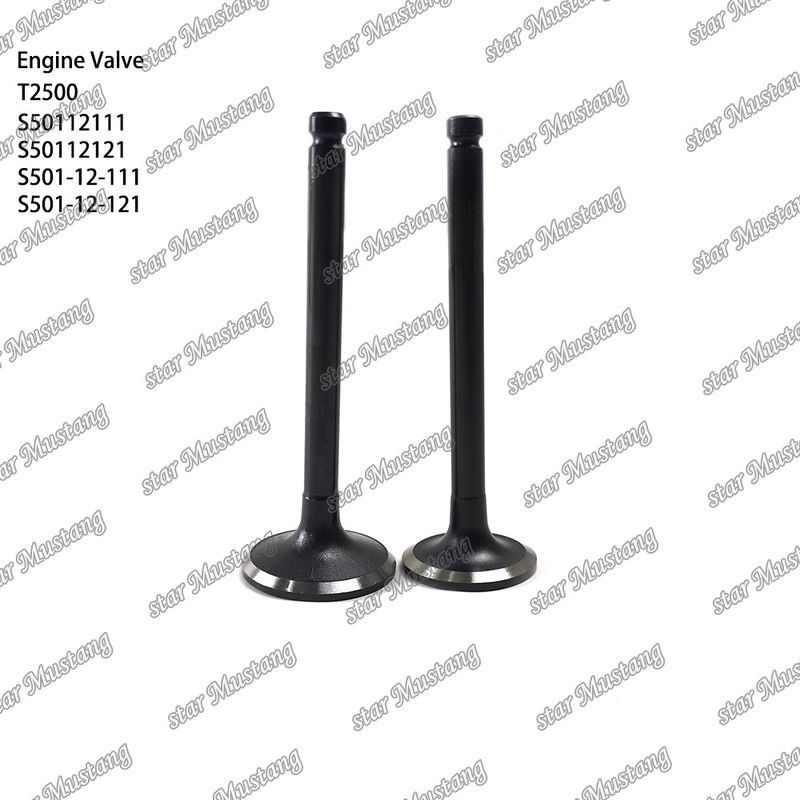 Ventil cấu trúc tích hợp T2500 S50112111 S50112121 S501-12-111