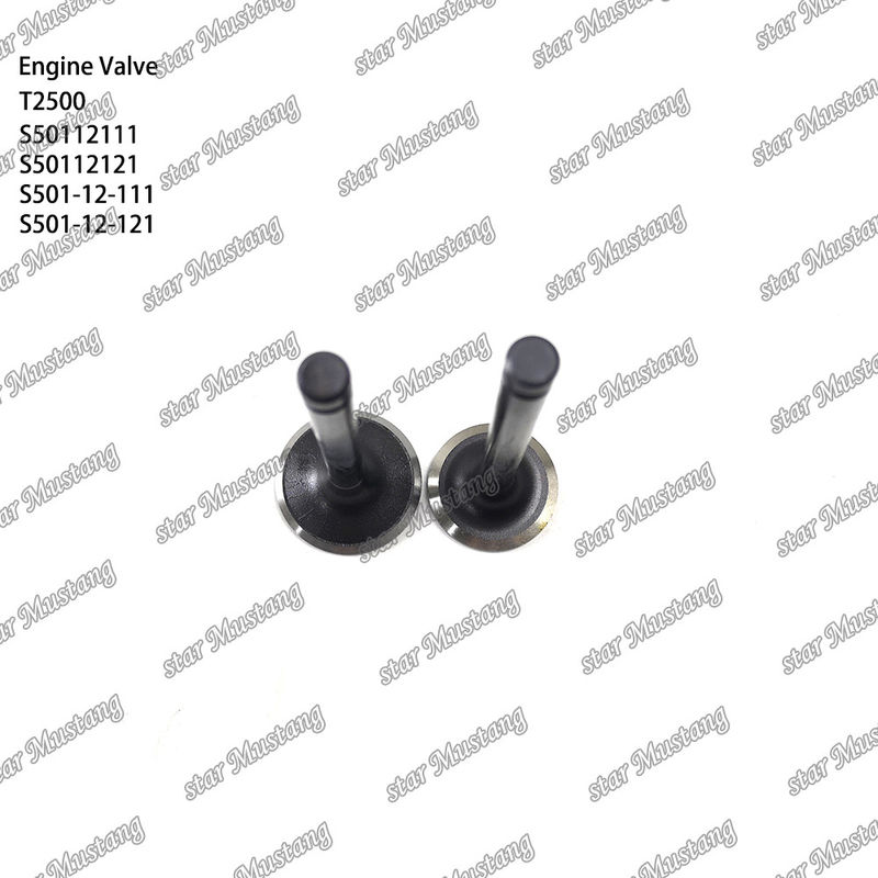 Ventil cấu trúc tích hợp T2500 S50112111 S50112121 S501-12-111