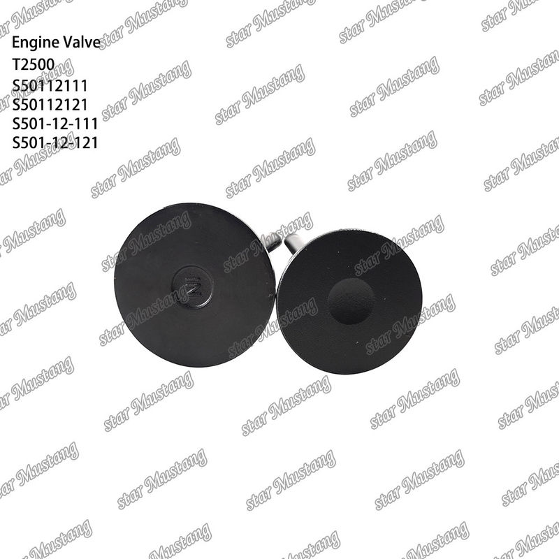 Ventil cấu trúc tích hợp T2500 S50112111 S50112121 S501-12-111