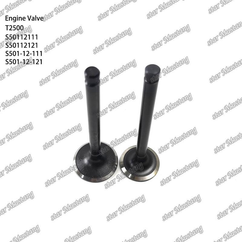 Ventil cấu trúc tích hợp T2500 S50112111 S50112121 S501-12-111