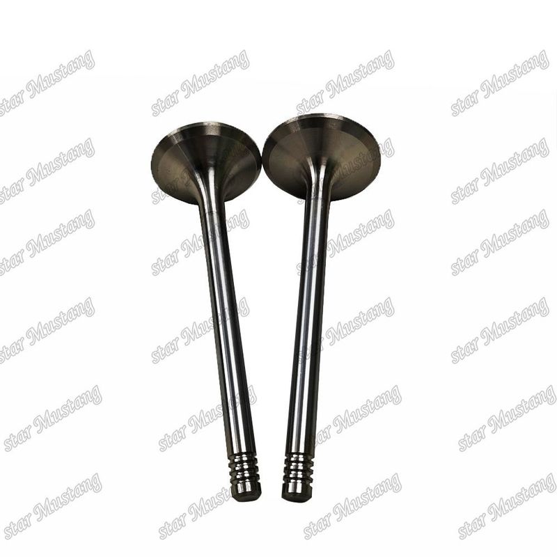 Bộ phận động cơ diesel nguyên bản với hỗ trợ trực tuyến Sau khi