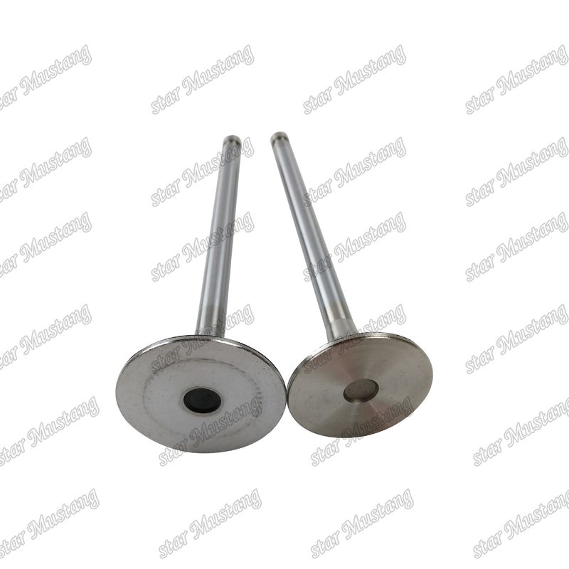 6M61 IN ME240748 EX ME133270 Bộ phận động cơ dầu diesel Đăng hàng gốc với hỗ trợ trực tuyến Sau khi