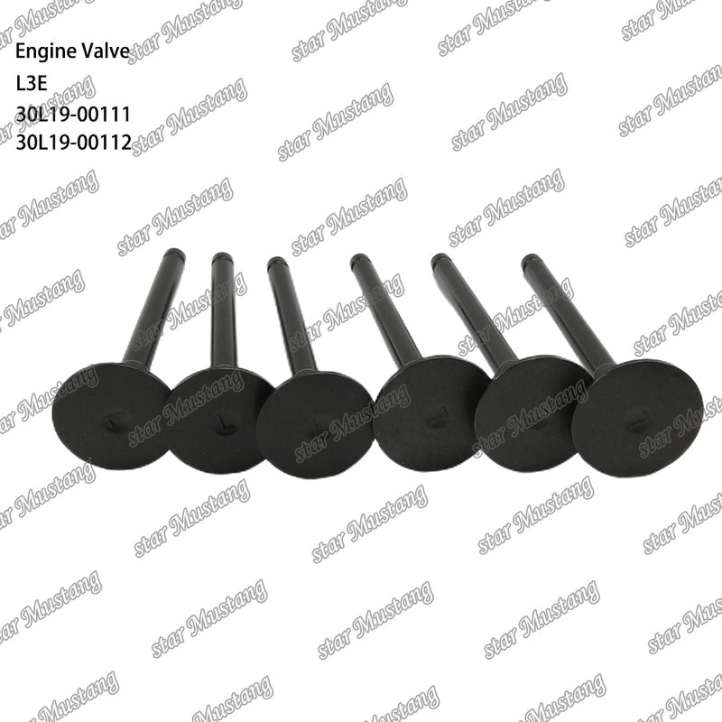 L3E 30L19-00111 30L19-00112 Linh kiện động cơ diesel Hàng chính hãng có hỗ trợ trực tuyến sau bán hàng