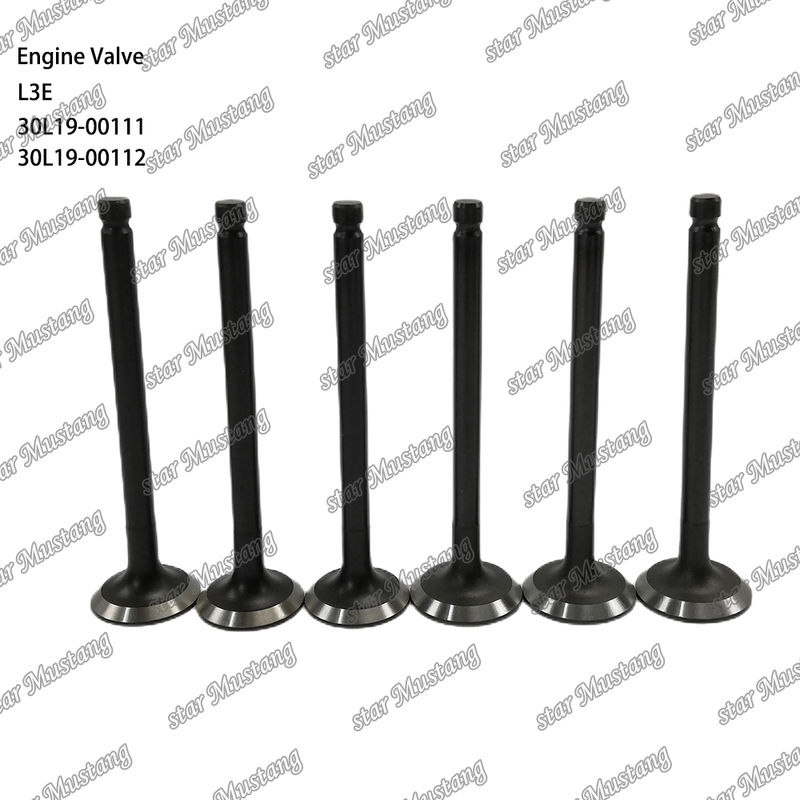 L3E 30L19-00111 30L19-00112 Linh kiện động cơ diesel Hàng chính hãng có hỗ trợ trực tuyến sau bán hàng